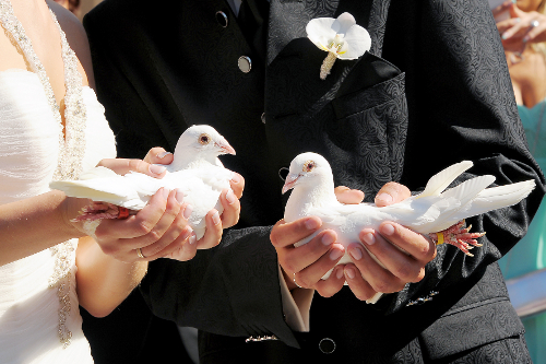 Brautpaar haelt jeweils wei�e Hochzeitstaube in der Hand