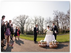 Paar 30/1 Hochzeitstauben Leipzig Markkleeberg Grimma u. v. Orte mehr