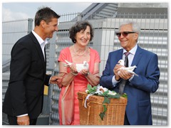 Paar 31/2 Hochzeitstauben Leipzig Markkleeberg Grimma u. v. Orte mehr - goldene Hochzeit auf dem Uni-Riesen Leipzig (City-Hochhaus)