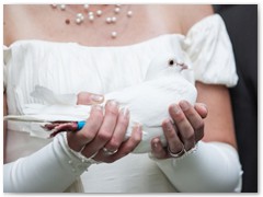 Paar 18/1 Hochzeitstauben Leipzig Markkleeberg Grimma u. v. Orte mehr
