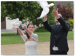 Paar 29/3 Hochzeitstauben Leipzig Markkleeberg Grimma u. v. Orte mehr