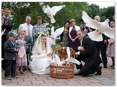 Paar 25/2 Hochzeitstauben Leipzig Markkleeberg Grimma u. v. Orte mehr
