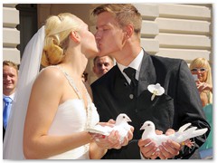 Paar 27/1 Hochzeitstauben Leipzig Markkleeberg Grimma u. v. Orte mehr