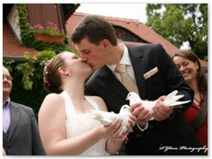 Paar 14/1 Hochzeitstauben Leipzig Markkleeberg Grimma u. v. Orte mehr