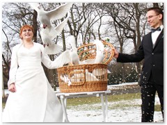 Paar 28/1 Hochzeitstauben Leipzig Markkleeberg Grimma u. v. Orte mehr